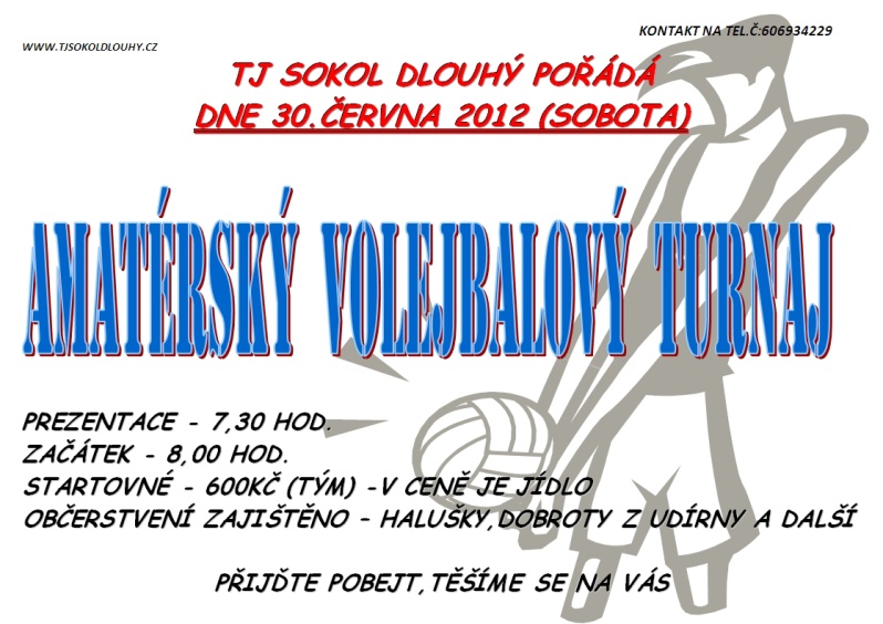 Volejbalový turnaj 30.6.2012 - TJ Sokol Dlouhý